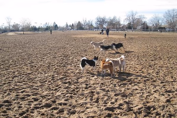 Hound Hill Dog Park at Heritage Regional Park